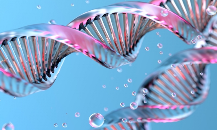 TEST GENETICI NEL CANE: COSA SONO ED A COSA SERVONO